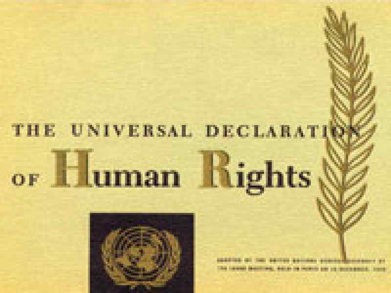 human-rights.jpg